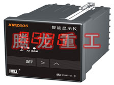 溫度表、數(shù)字顯示儀、濕度表